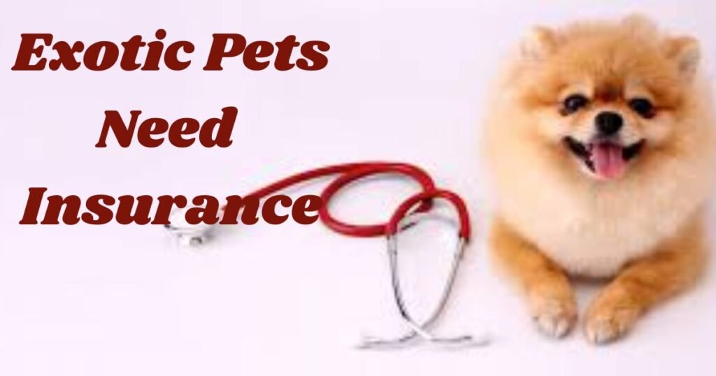 Why Exotic Pets Need Insurance